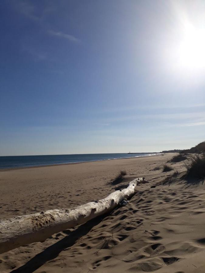 Studio Naturiste Venus Panoramic View Agde Zewnętrze zdjęcie
